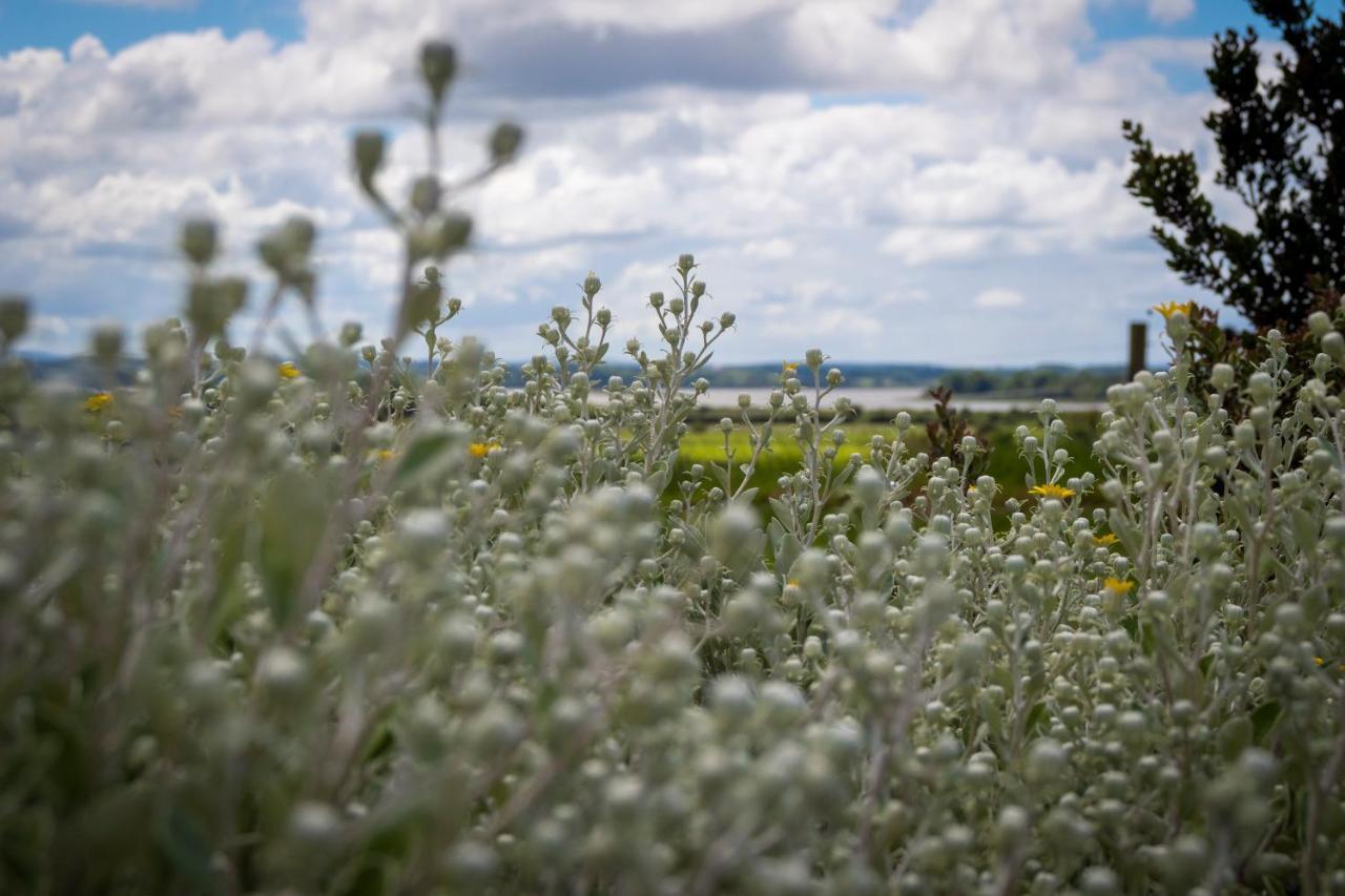 Bunratty Meadows Bed & Breakfast ภายนอก รูปภาพ