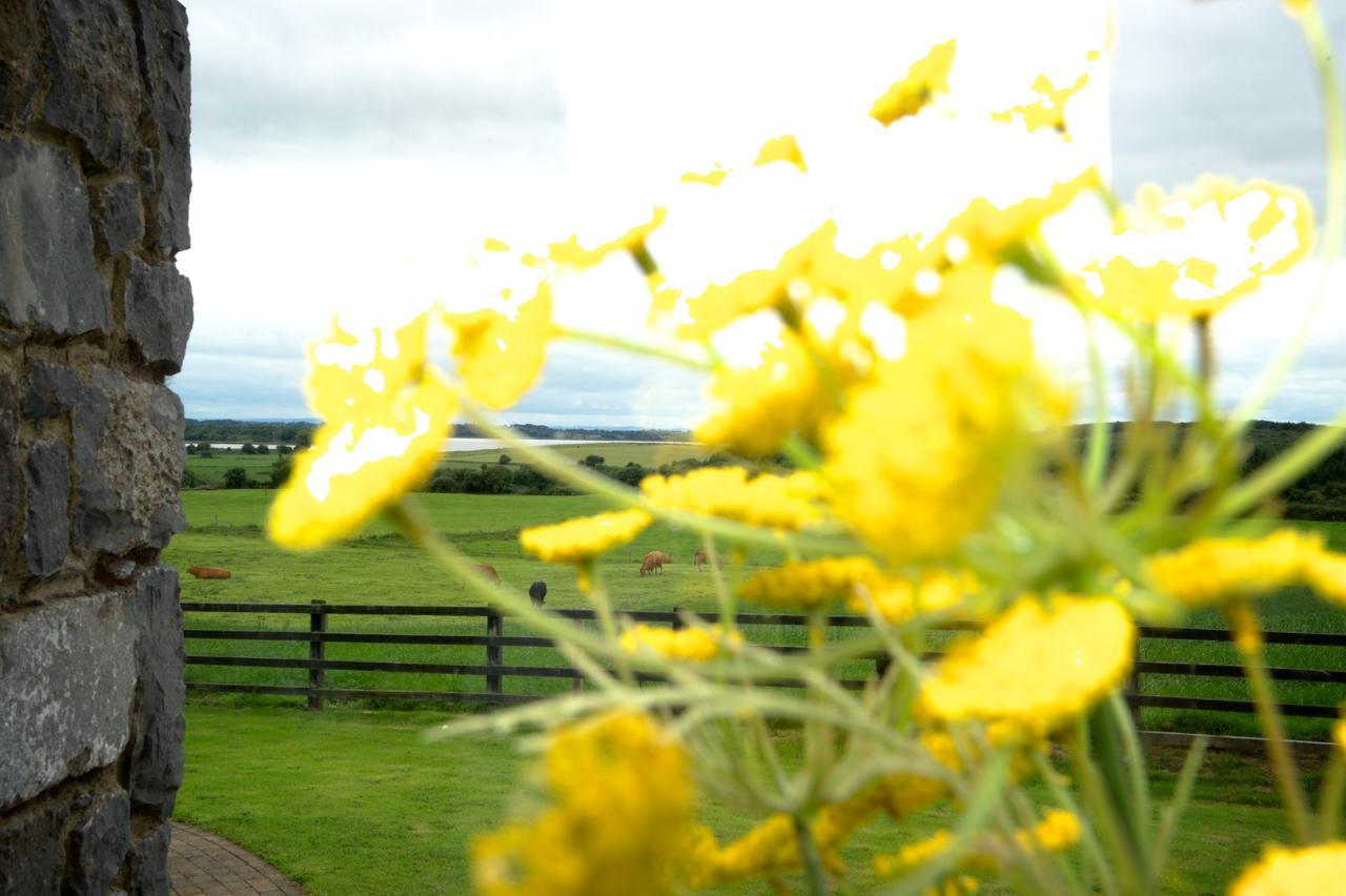 Bunratty Meadows Bed & Breakfast ภายนอก รูปภาพ