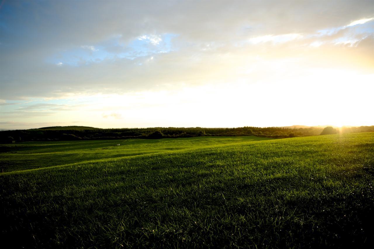 Bunratty Meadows Bed & Breakfast ภายนอก รูปภาพ