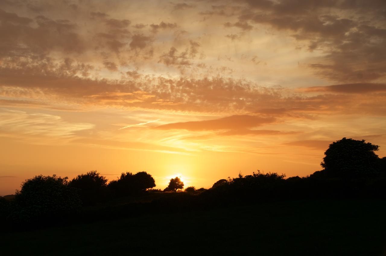 Bunratty Meadows Bed & Breakfast ภายนอก รูปภาพ
